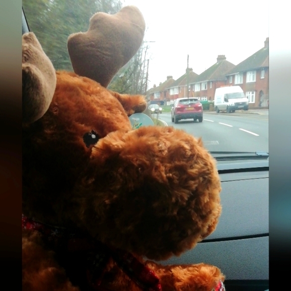 Meet your Posher, Chris - Picture 1 of 2